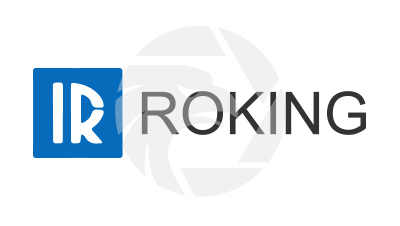 ROKING LTD