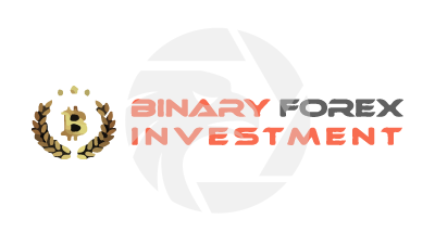 Binaryforexinvestment