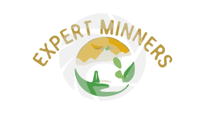 EXPERT MINNERS