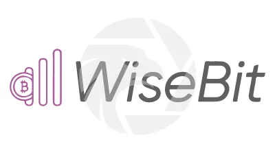 WiseBit AI