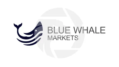 Blue Whale Markets