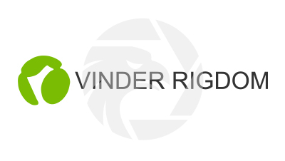 FAKE VINDER RIGDOM