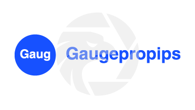gaugepropips.online