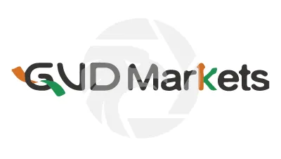 GVD Markets資本