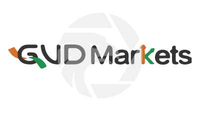 GVD Markets資本