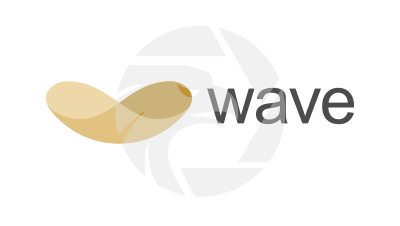 Wave Capital