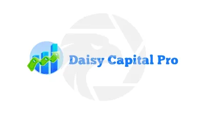 Daisy Capital Pro