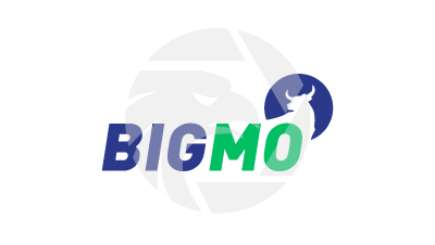 BIGMO