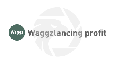 Waggzlancing profit