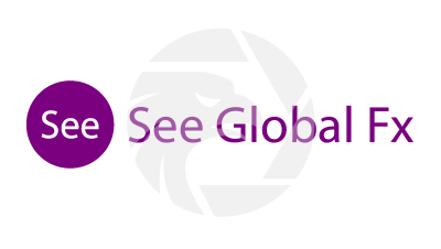 See Global Fx 