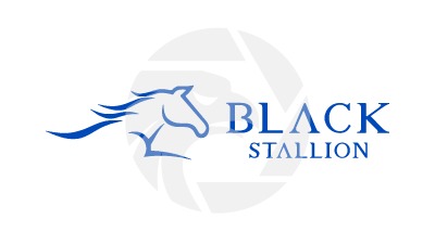 Black Stallion