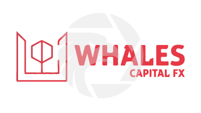 Whales Capital FX