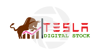 Tesla Digital Stock