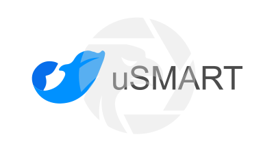 uSMART Group 盈立集團