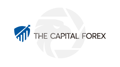The Capital Forex