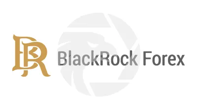 BlackRock Forex 
