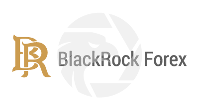 BlackRock Forex 