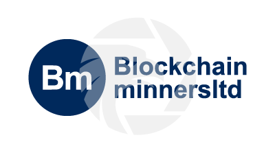 Blockchain Minners Ltd