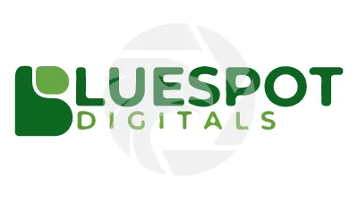 Blue Spot Digital