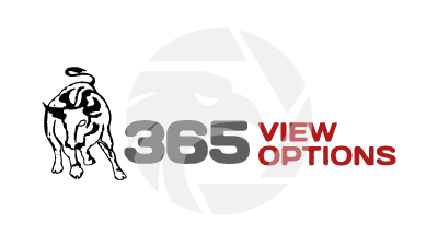 365view Options