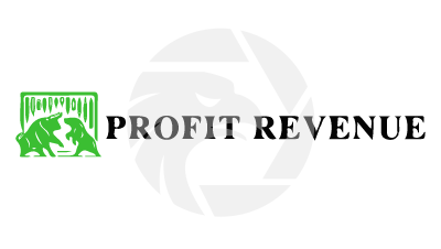 Profits Revenue
