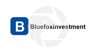 Bluefoxinvestment