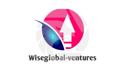 wiseglobalventure