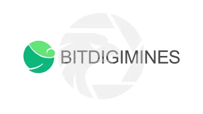 Bitdigimines Investment