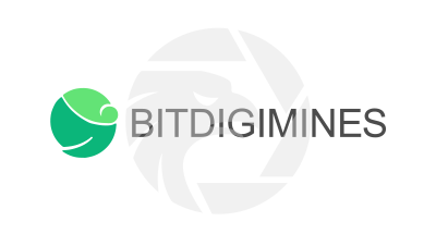 Bitdigimines Investment