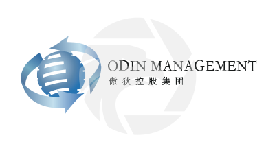 ODIN傲狄控股集团