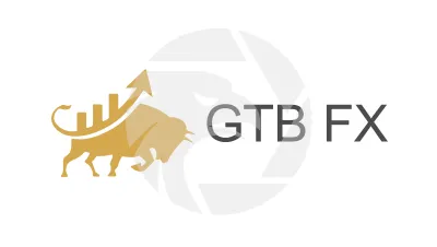 Golden Team Booster FX Ltd