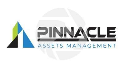 PINNACLE ASSETS 
