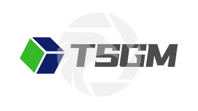 TSGM