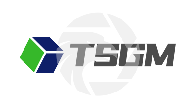 TSGM