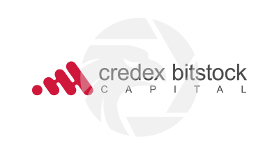 CredexBitStockCapital