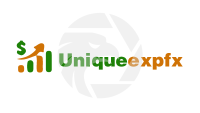 Uniqueexpfx