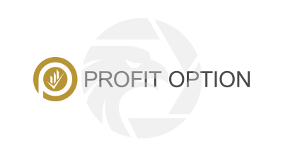 Profit Option