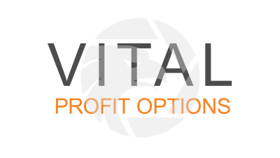 Vital Profit Options