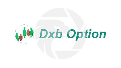 Dxb Option