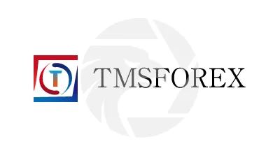TMSFOREX