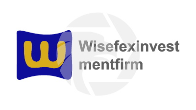 Wisefexinvestmentfirm