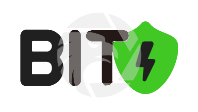 Bitsurg