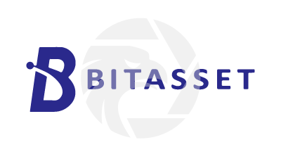 Bitasset