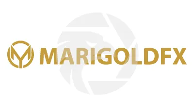 Marigoldfx