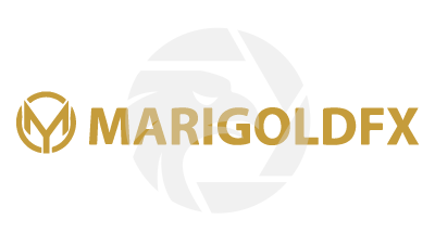 Marigoldfx