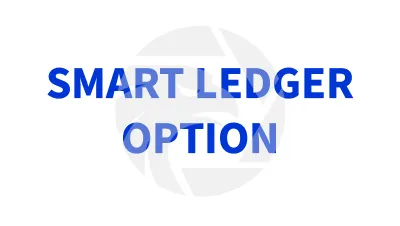SMART LEDGER OPTION