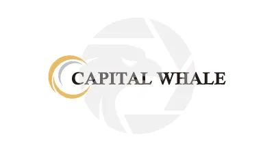 Capital Whale