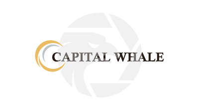 Capital Whale