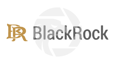 BlackRock Forex