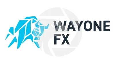 Wayone Capital